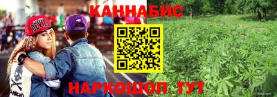 соль ск Пугачёв