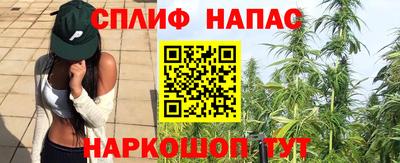 соль ск Пугачёв
